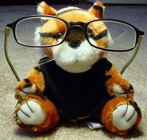toy wearing glasses